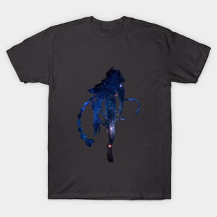 Phoenix Ikki T-Shirt